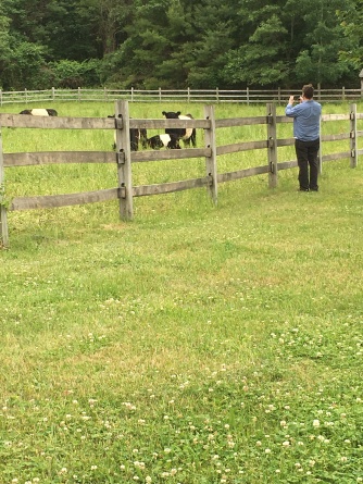 He can't resist a field of cows. Especially, baby cows.